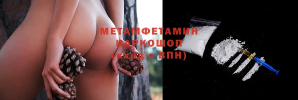 ГАЛЛЮЦИНОГЕННЫЕ ГРИБЫ Горняк