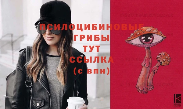 ГАЛЛЮЦИНОГЕННЫЕ ГРИБЫ Горняк